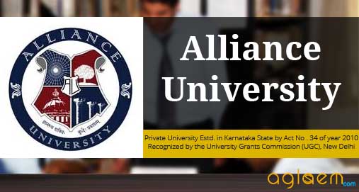 The Most Common Mistakes People Make With alliance university bangalore placement