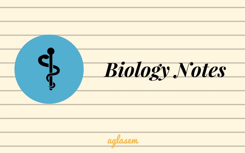 Important Notes of Biology for NEET: Animal Kingdom