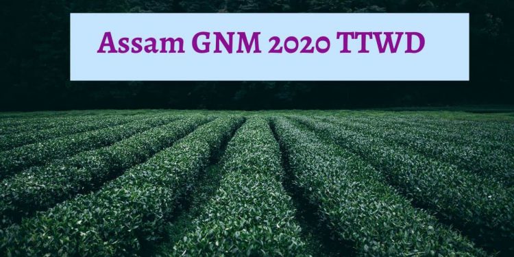 Assam-GNM-2020-TTWD-Aglasem