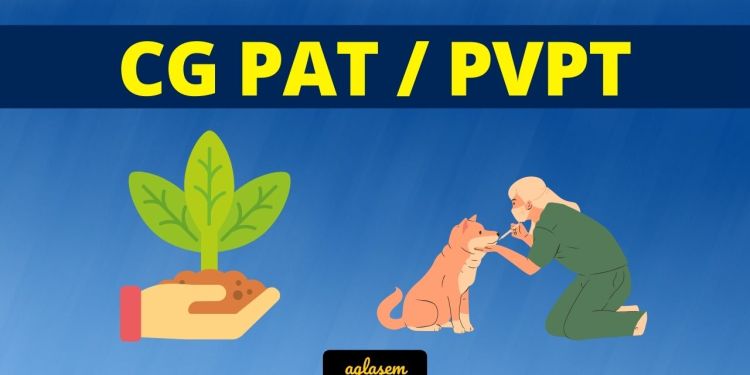 CG PAT PVPT