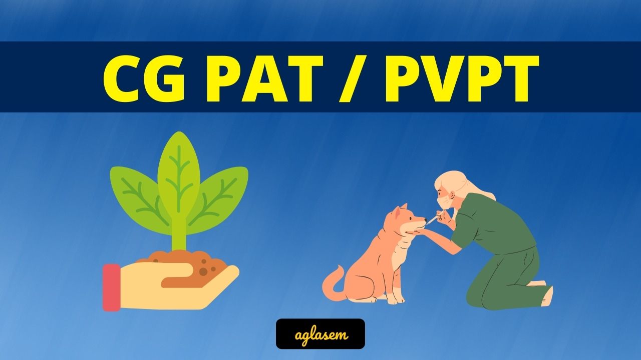 CG PAT PVPT