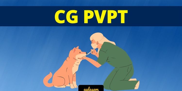 CG PVPT