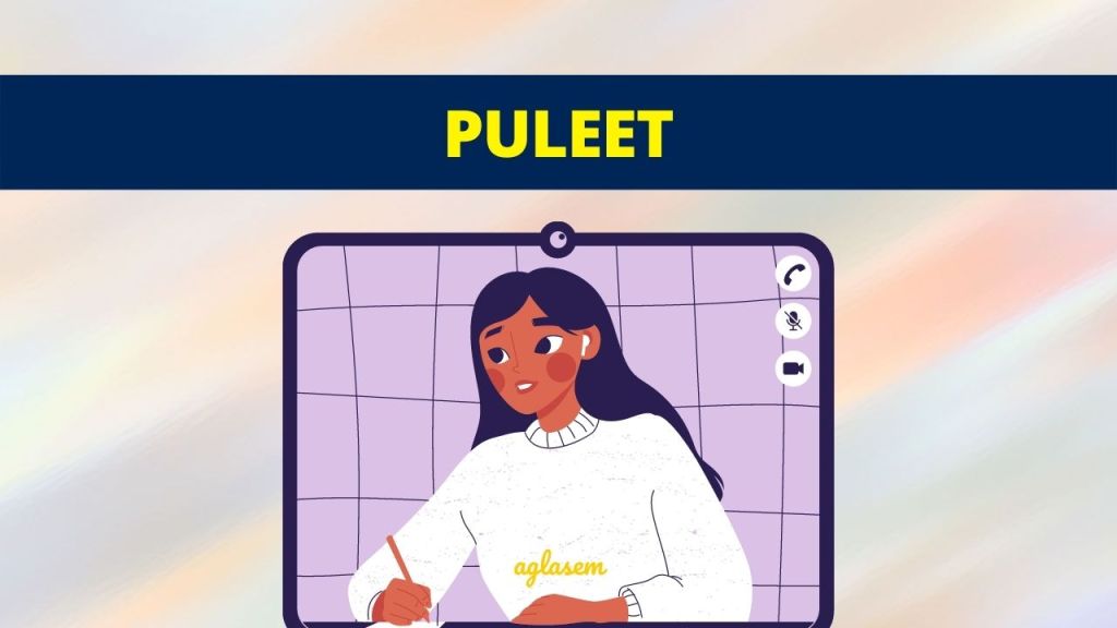 PULEET 2026 Panjab University Lateral Engineering Entrance Test