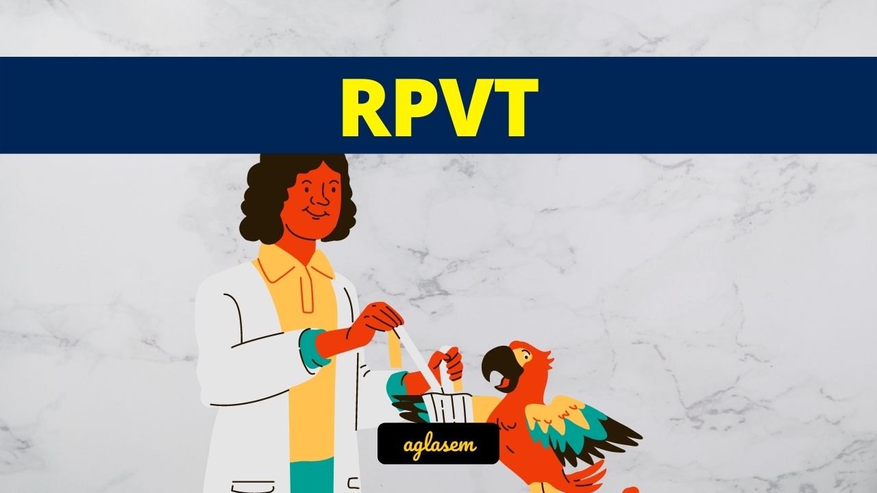 RPVT Admit Card 2023 (Date, Download Link) - Download RPVT Hall Ticket at  