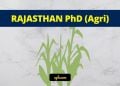 Rajasthan PhD