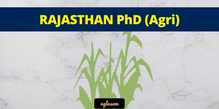 Rajasthan PhD