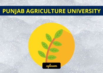Punjab Agriculture University