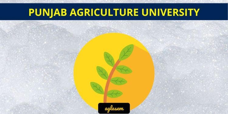 Punjab Agriculture University