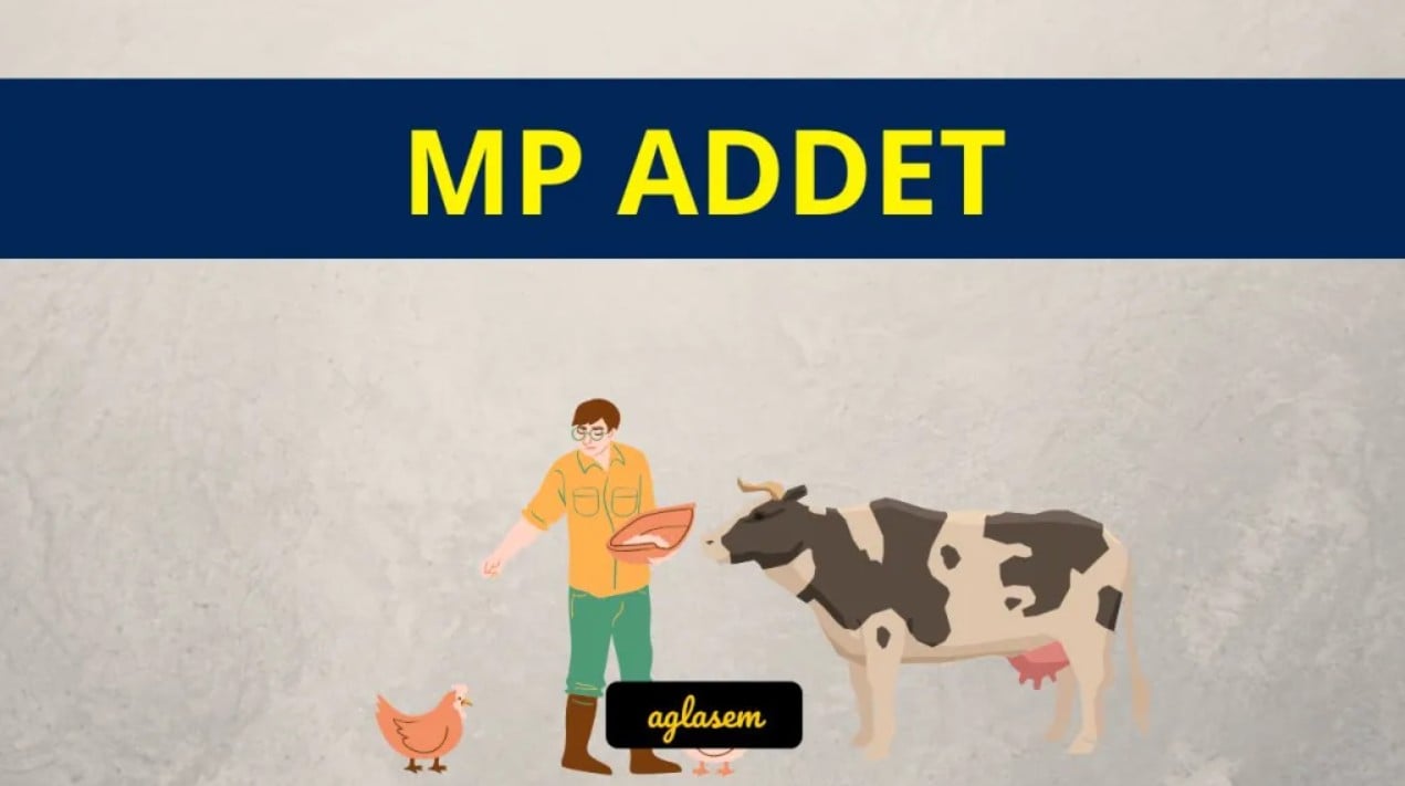 MP ADDET